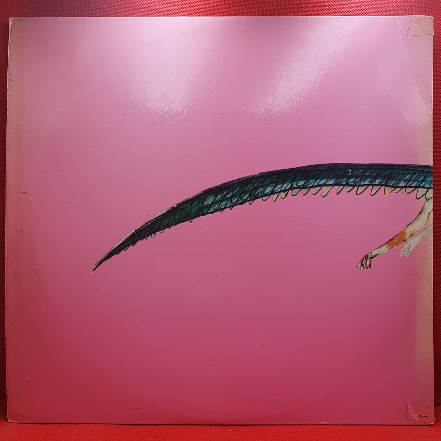 José Afonso – Com As Minhas Tamanquinhas