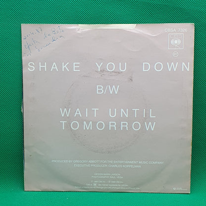 Gregory Abbott ‎– Shake You Down