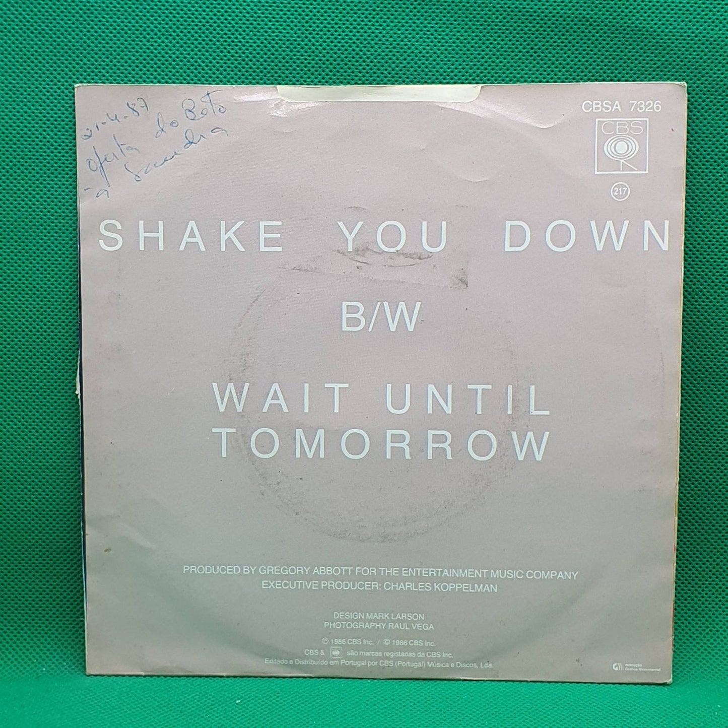 Gregory Abbott ‎– Shake You Down