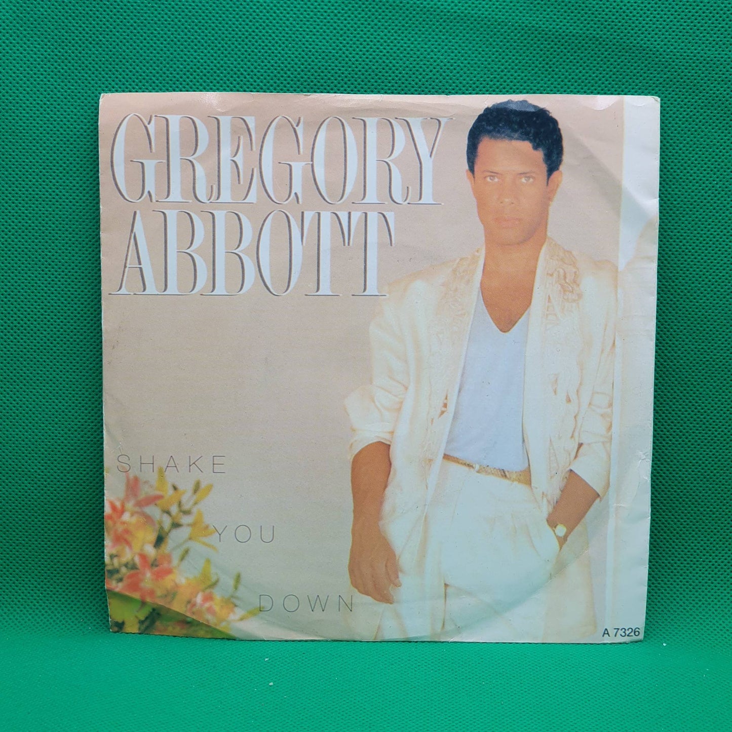 Gregory Abbott ‎– Shake You Down