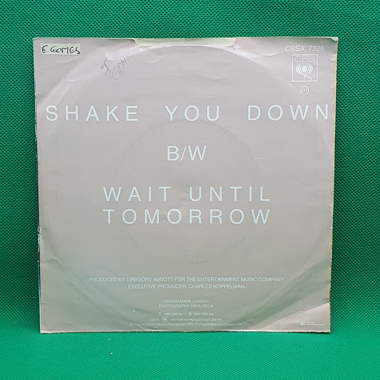 Gregory Abbott ‎– Shake You Down