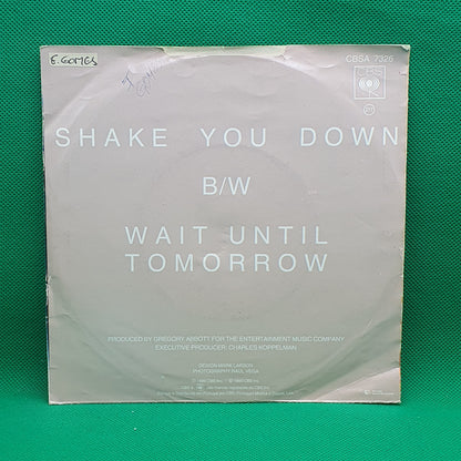 Gregory Abbott ‎– Shake You Down