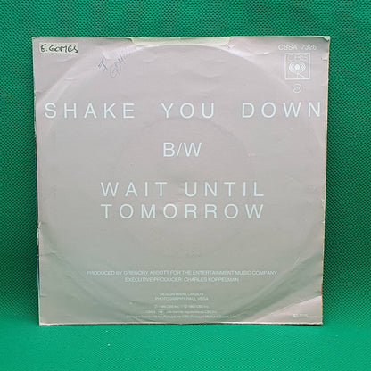 Gregory Abbott ‎– Shake You Down