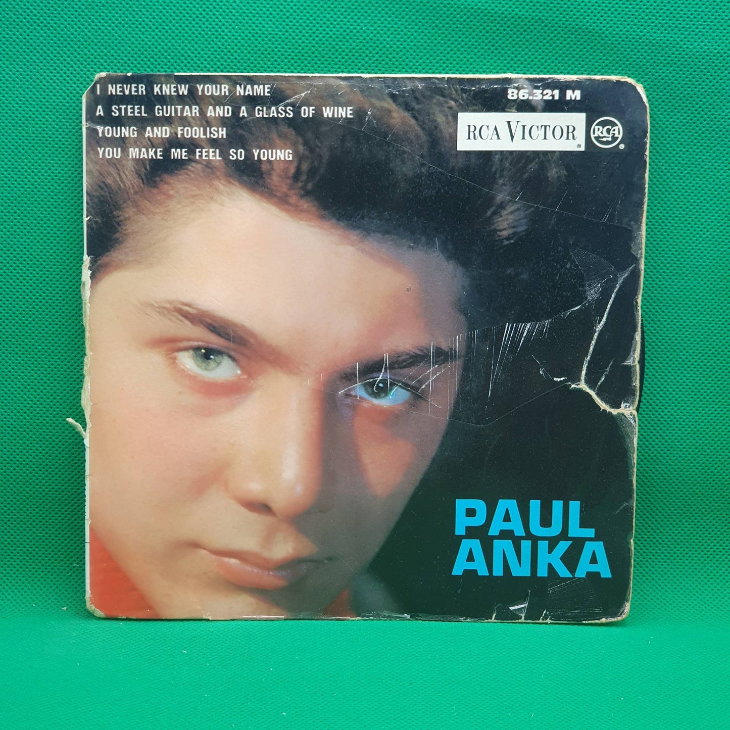 Paul Anka ‎– I Never Knew Your Name