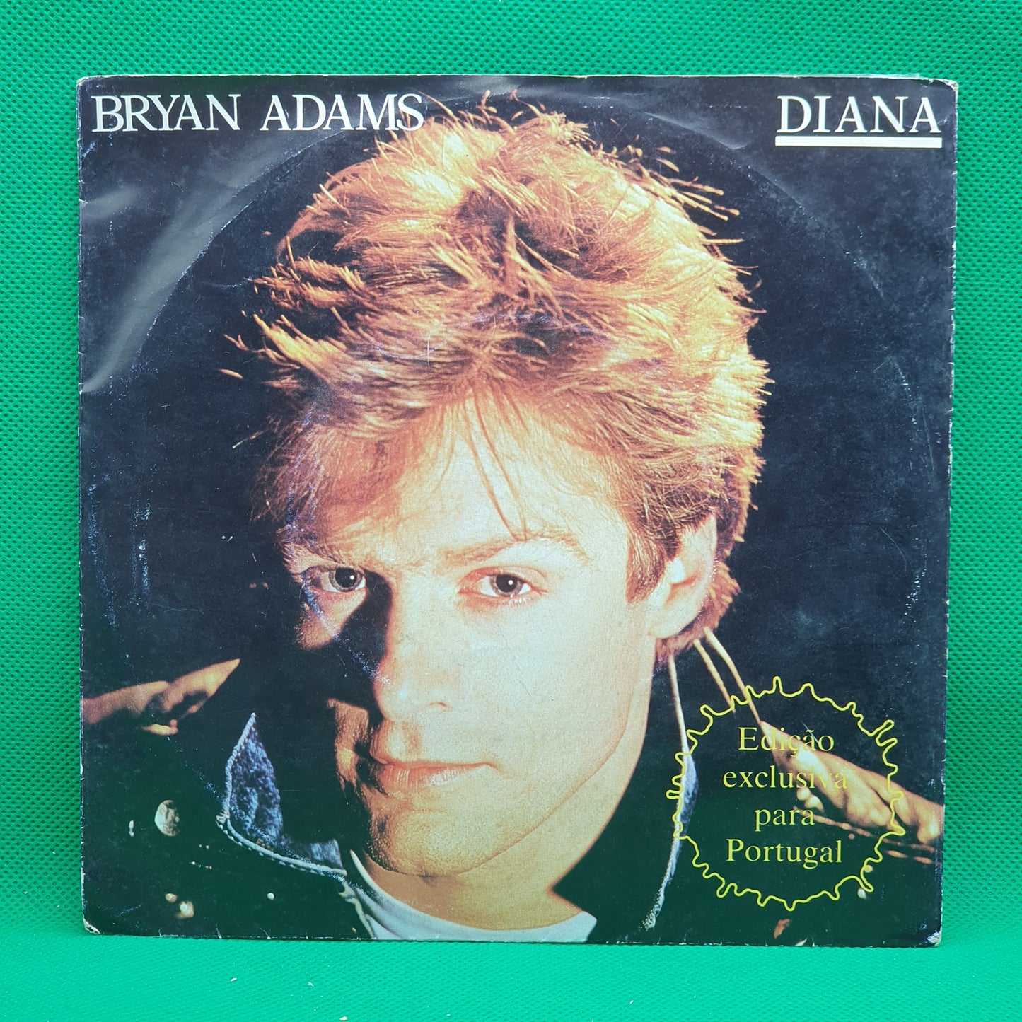 Bryan Adams ‎– Diana