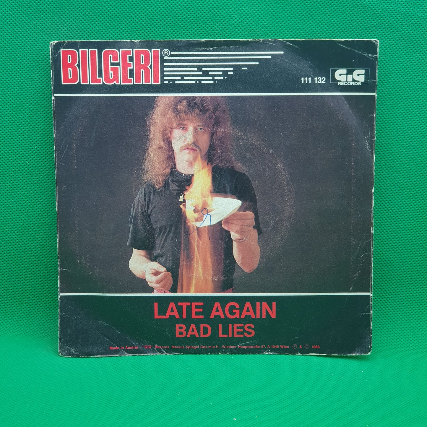 Bilgeri ‎– Late Again