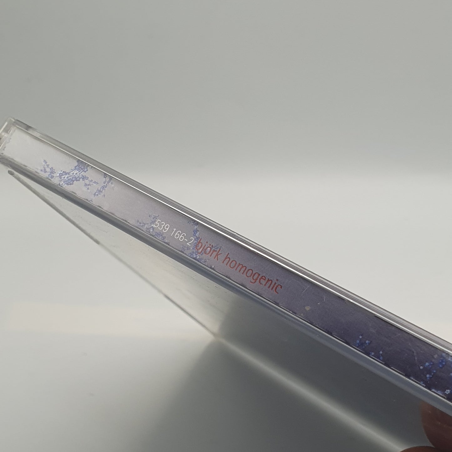 Björk – Homogenic