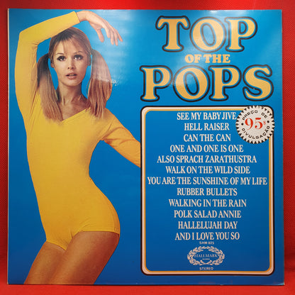 Unknown Artist – Top Of The Pops Vol. 31