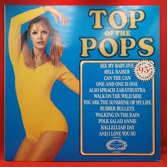 Unknown Artist – Top Of The Pops Vol. 31