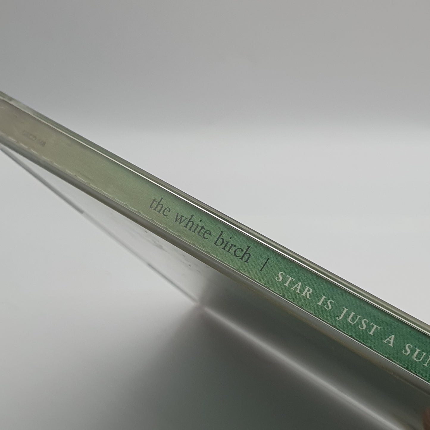 The White Birch ‎– Star Is Just A Sun