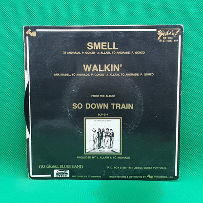 Albert Hammond ‎– Comprenderte 