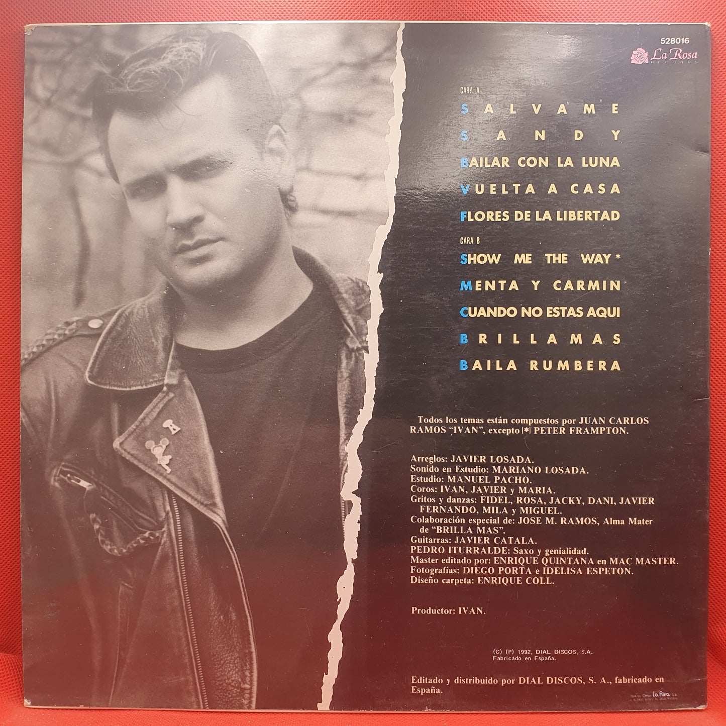 Albert Hammond ‎– Comprenderte 