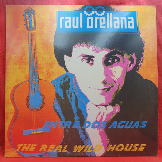 Albert Hammond ‎– Comprenderte 