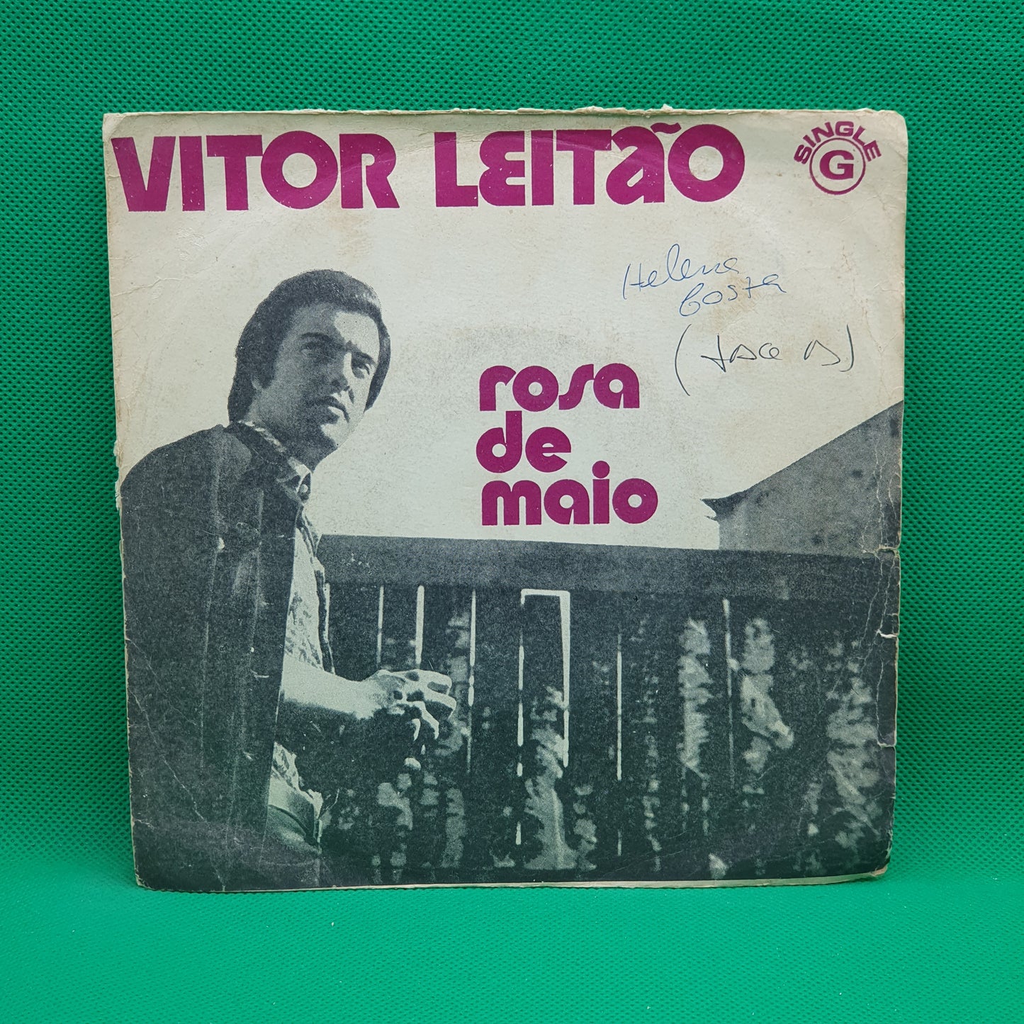 Vitor Leitao – Rosa De Maio