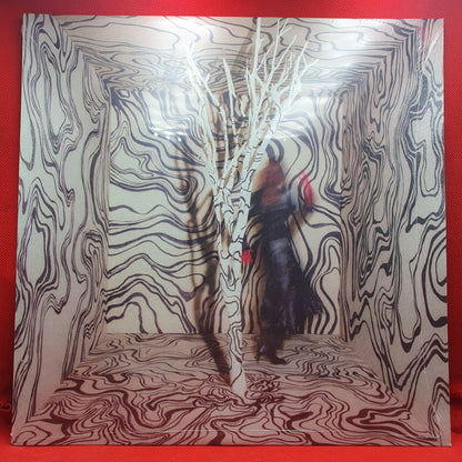 Madison Cunningham ‎– Revealer