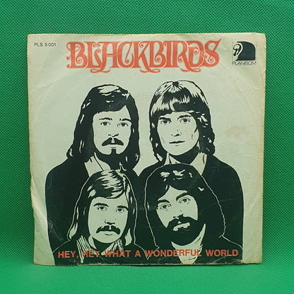 Blackbirds ‎– Hey, Hey, What A Wonderful World
