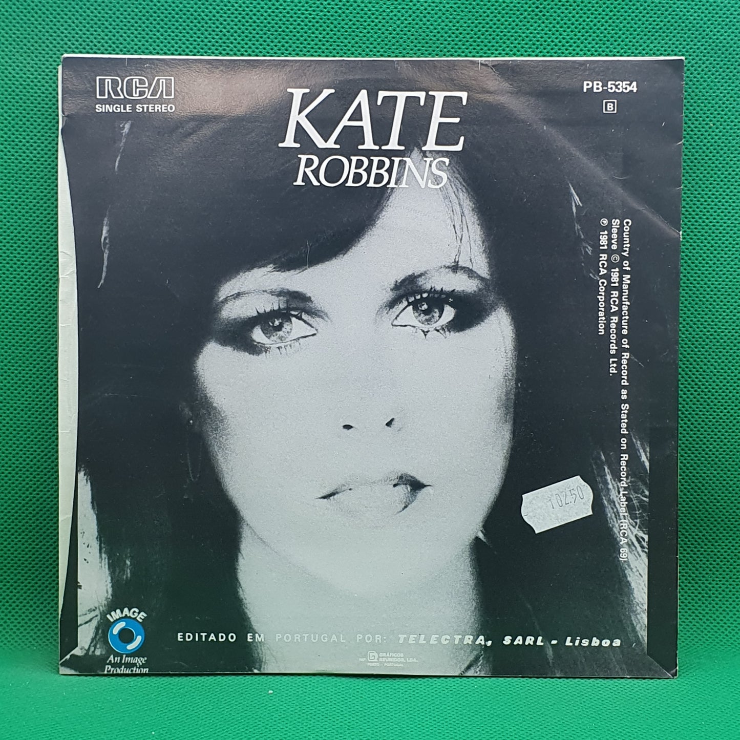 Kate Robbins ‎– More Than In Love