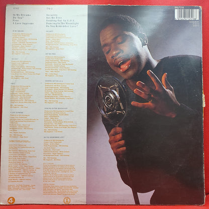 Will Downing ‎– Will Downing