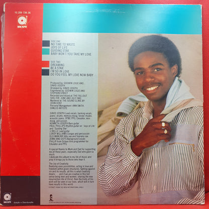 David Joseph ‎– The Joys Of Life