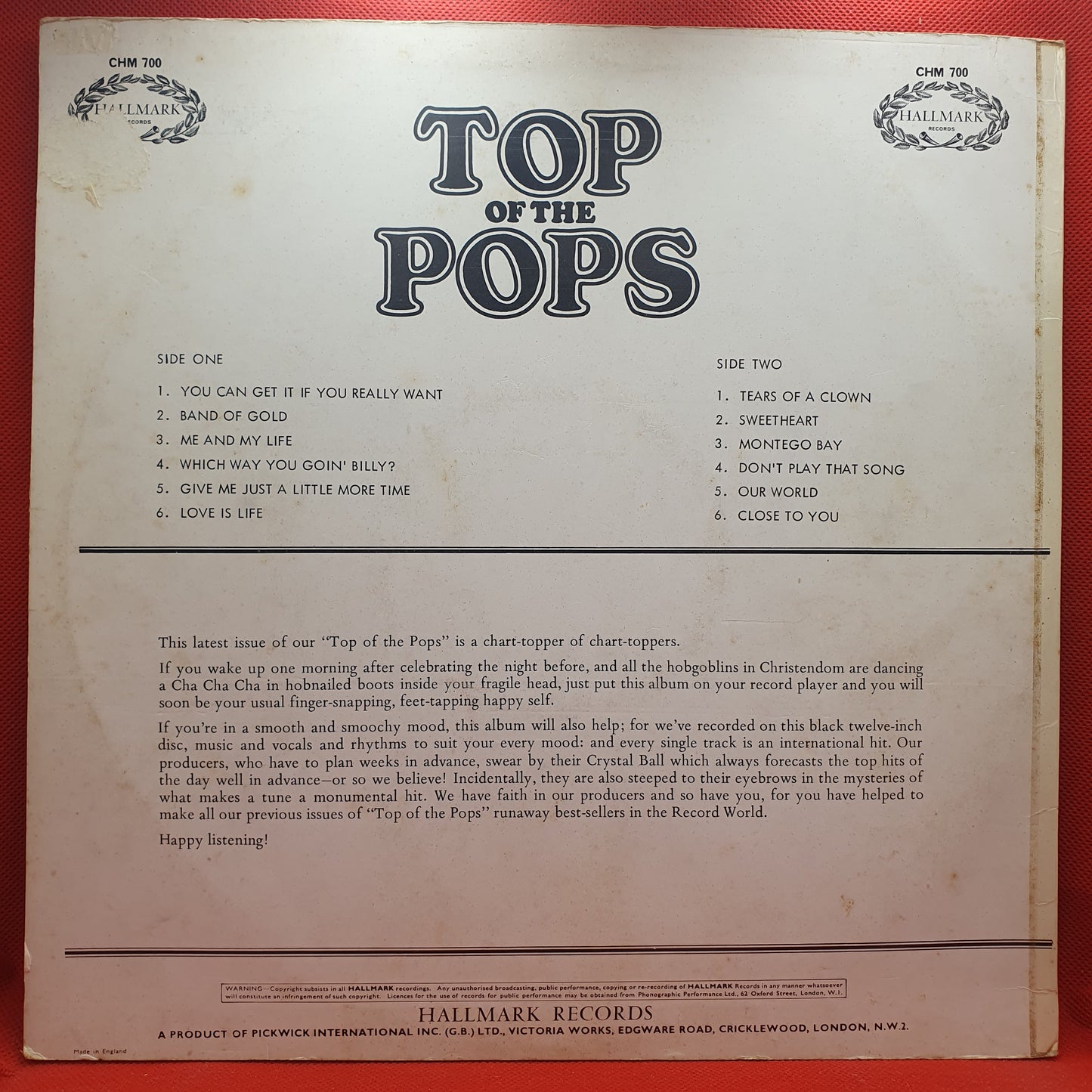 Unknown Artist ‎– Top Of The Pops Vol.13