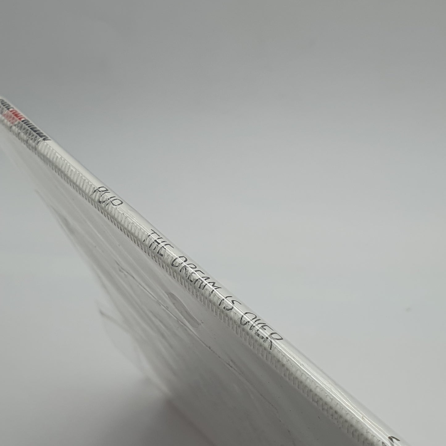 PUP – The Dream Is Over