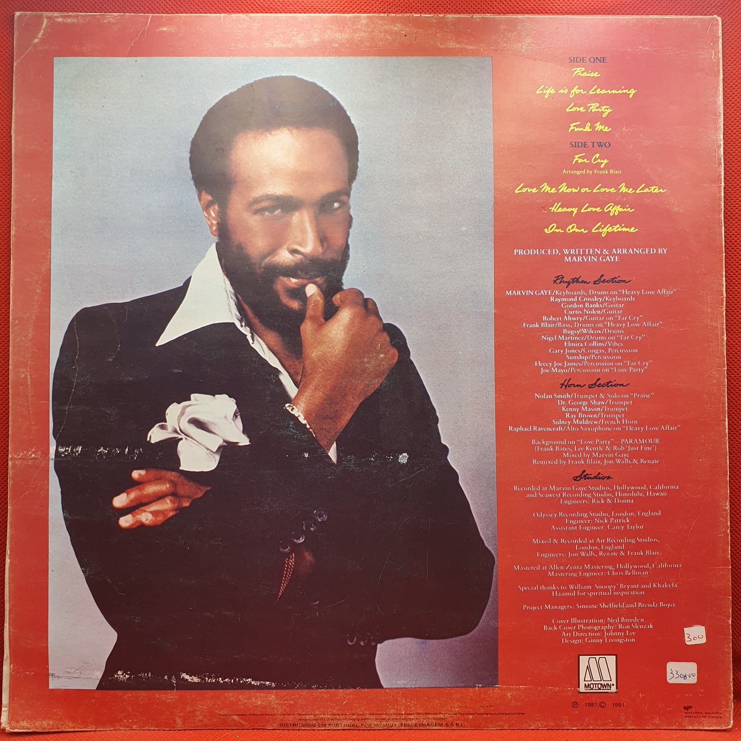 Marvin Gaye ‎– In Our Lifetime