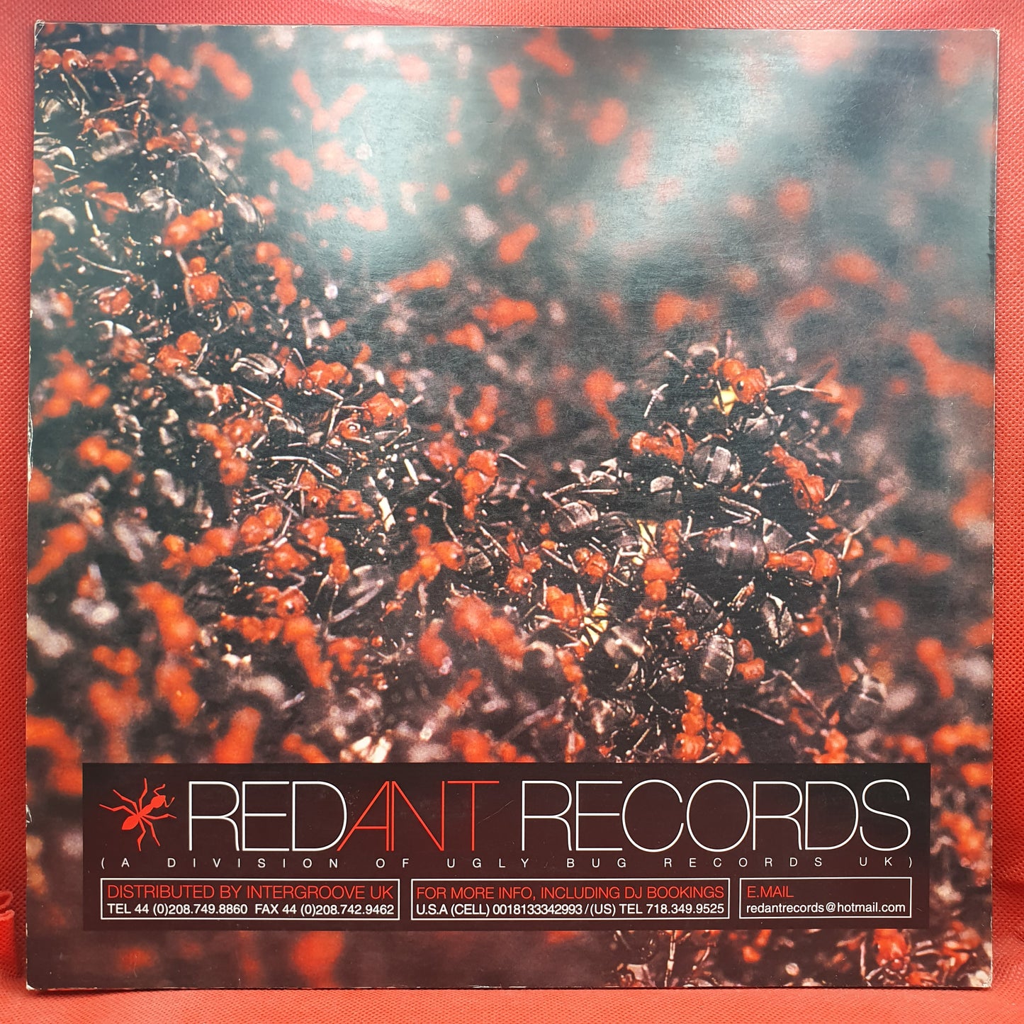 Pete Bones ‎– Solo