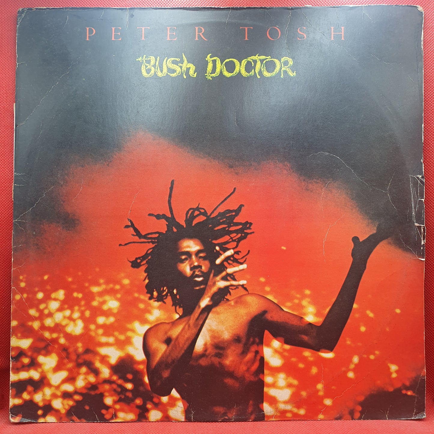 Peter Tosh ‎– Bush Doctor