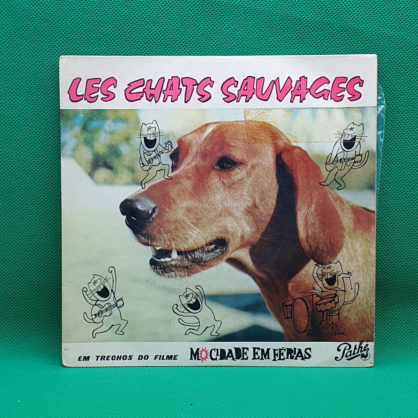 Les Chats Sauvages ‎– Em Trechos Do Filme Mocidade Em Férias