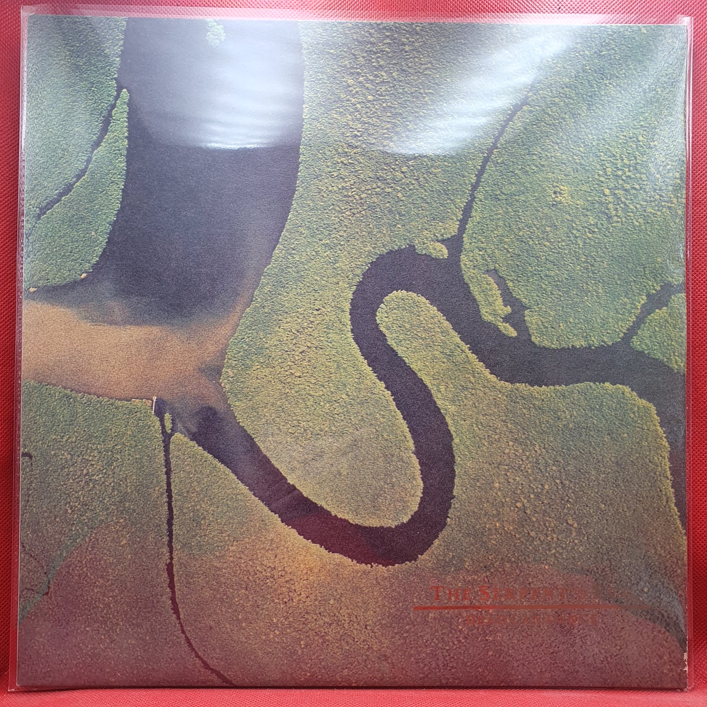 Dead Can Dance ‎– The Serpent's Egg