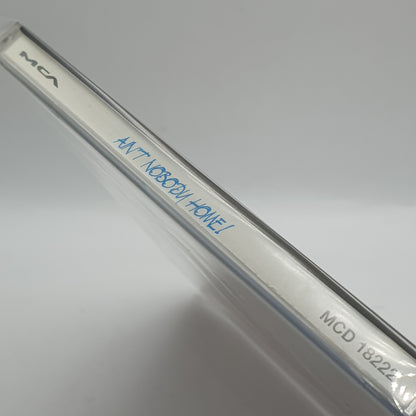 BB King ‎– Ain't Nobody Home! The Very Best Of BB King