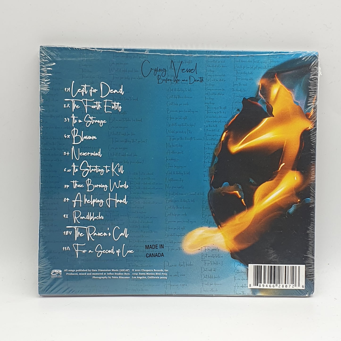 Crying Vessel ‎– Before Life Was Death