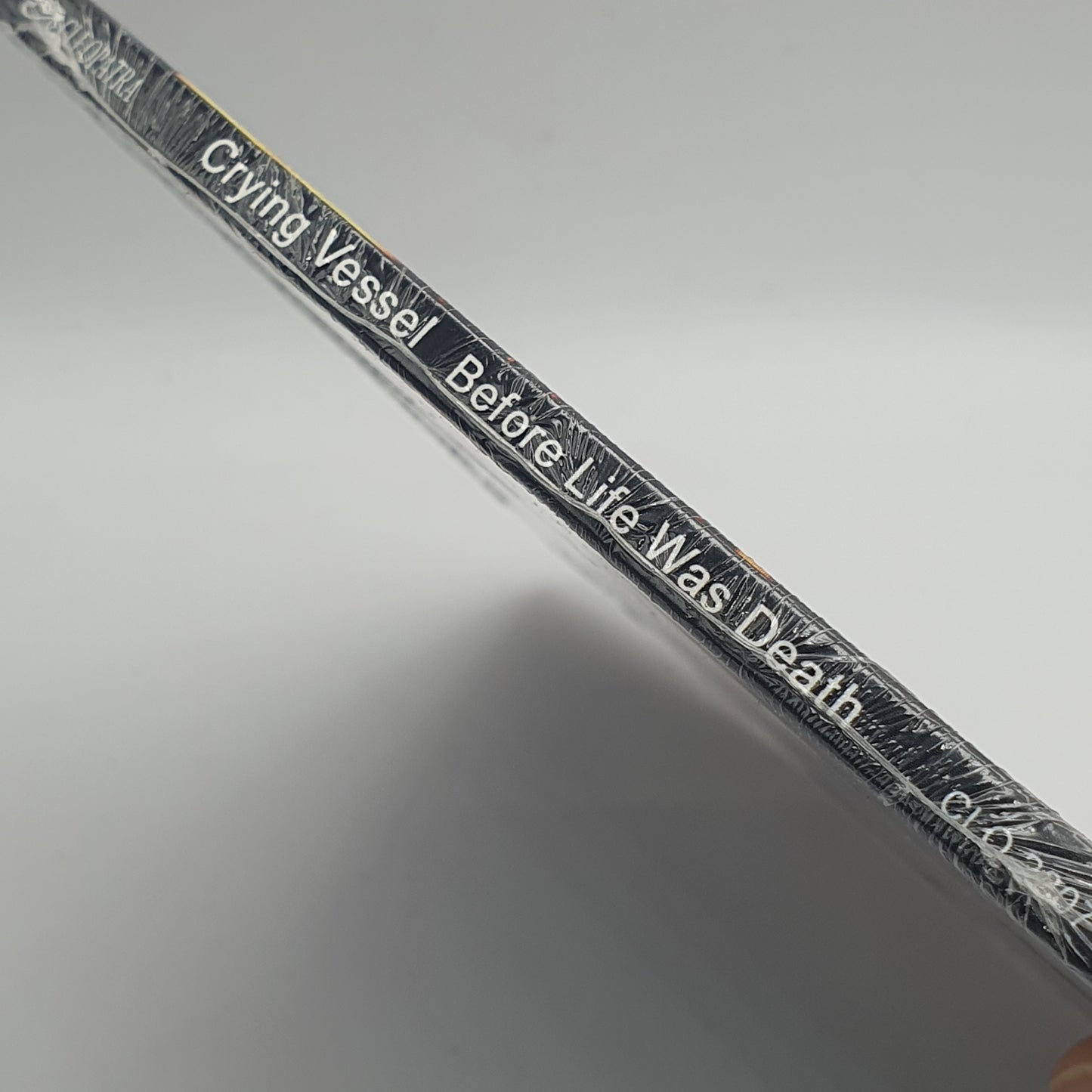 Crying Vessel ‎– Before Life Was Death