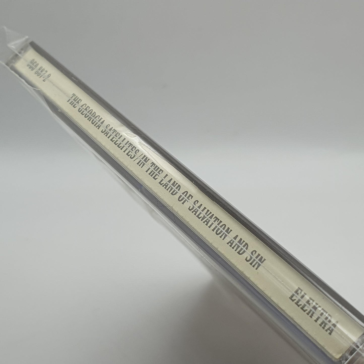 The Georgia Satellites ‎– In The Land Of Salvation And Sin