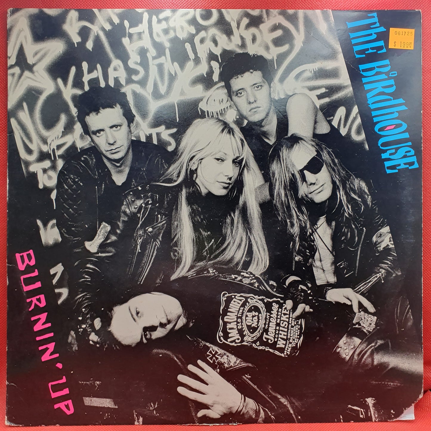 The Birdhouse ‎– Burnin' Up