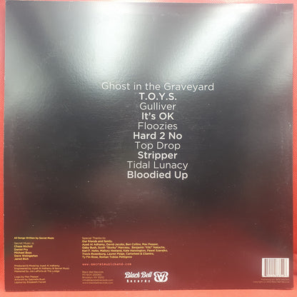 Secret Music ‎– Secret Music