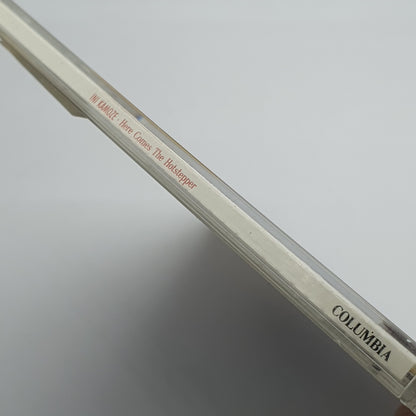 Ini Kamoze ‎– Here Comes The Hotstepper