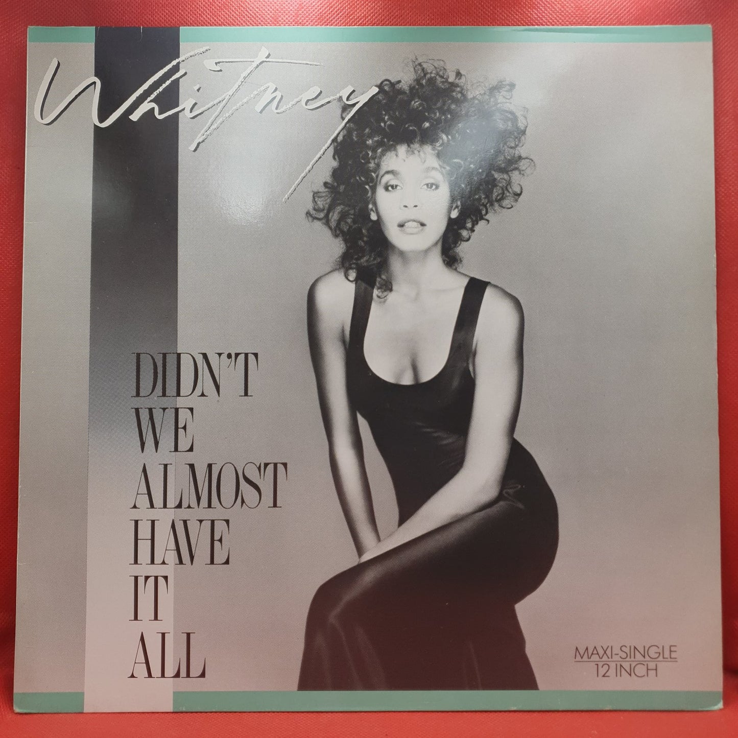 Whitney Houston - Didn't We Almost Have It All (Maxis)