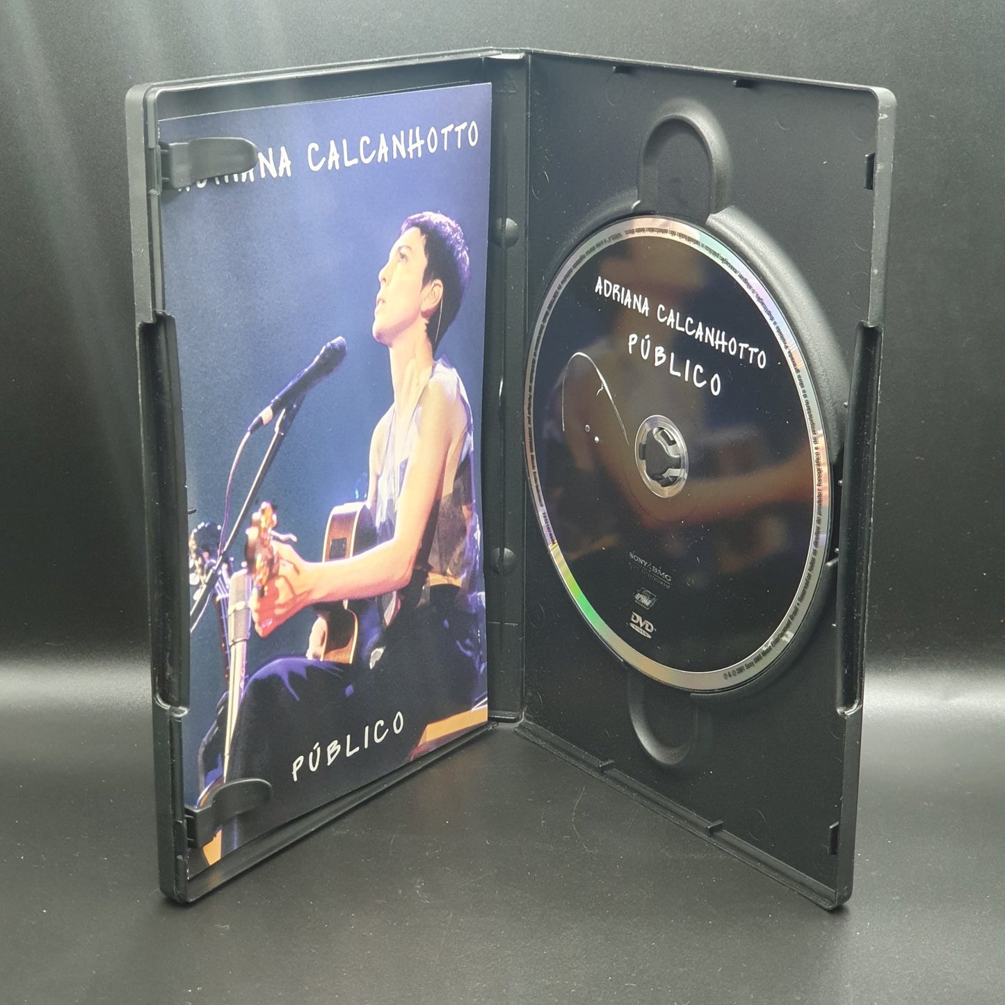 Adriana Calcanhotto - Público (DVD Música)