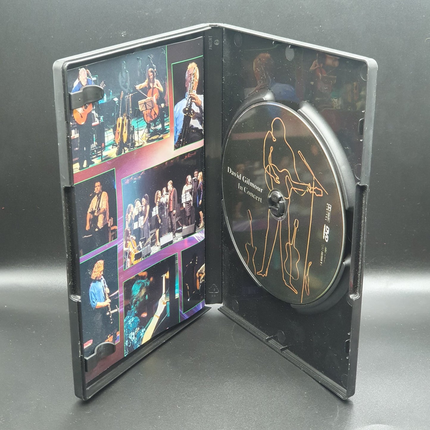 David Gilmour - In Concert (DVD Música)