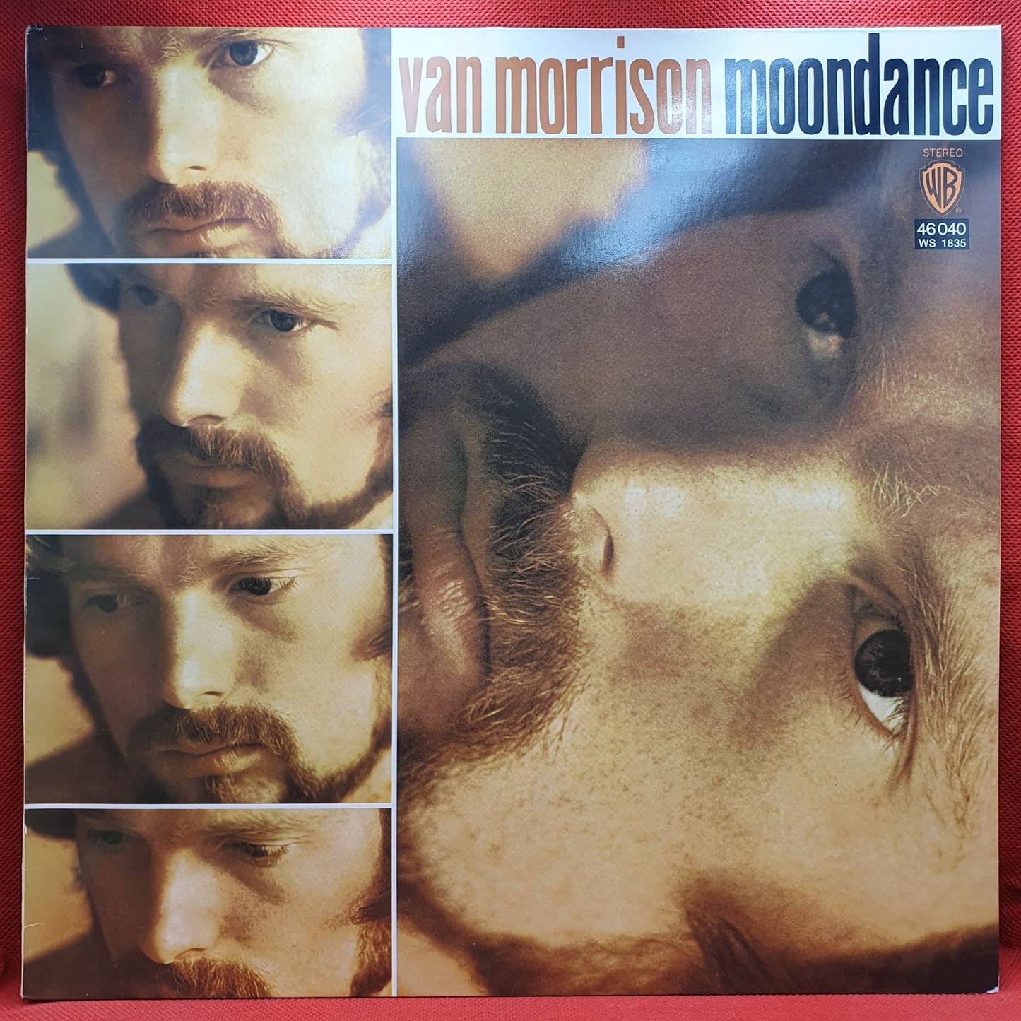 Van Morrison - Moondance (LP)