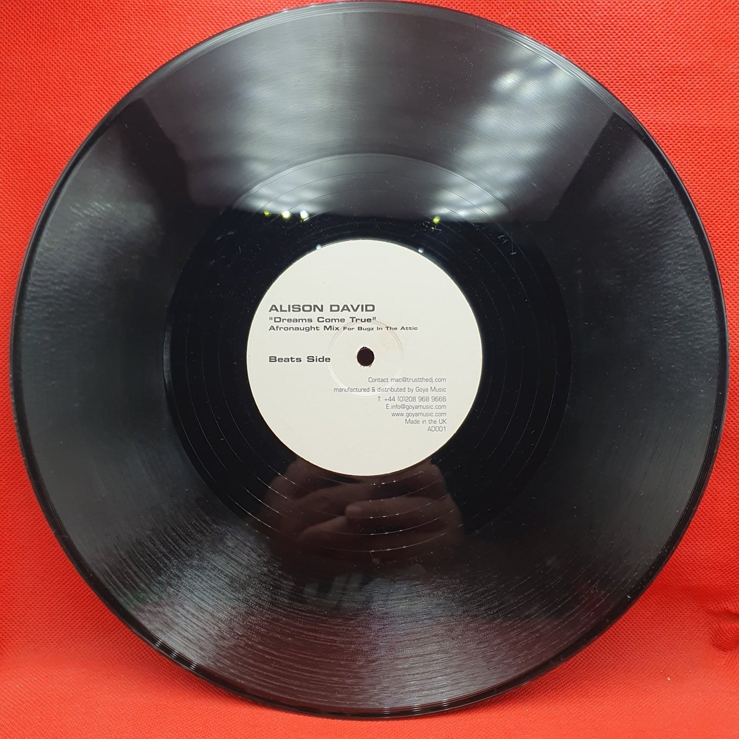 Alison David - Dreams Come True (Afronaught Mix) (LP)
