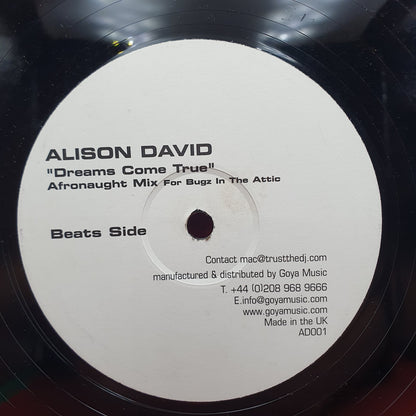 Alison David - Dreams Come True (Afronaught Mix) (LP)