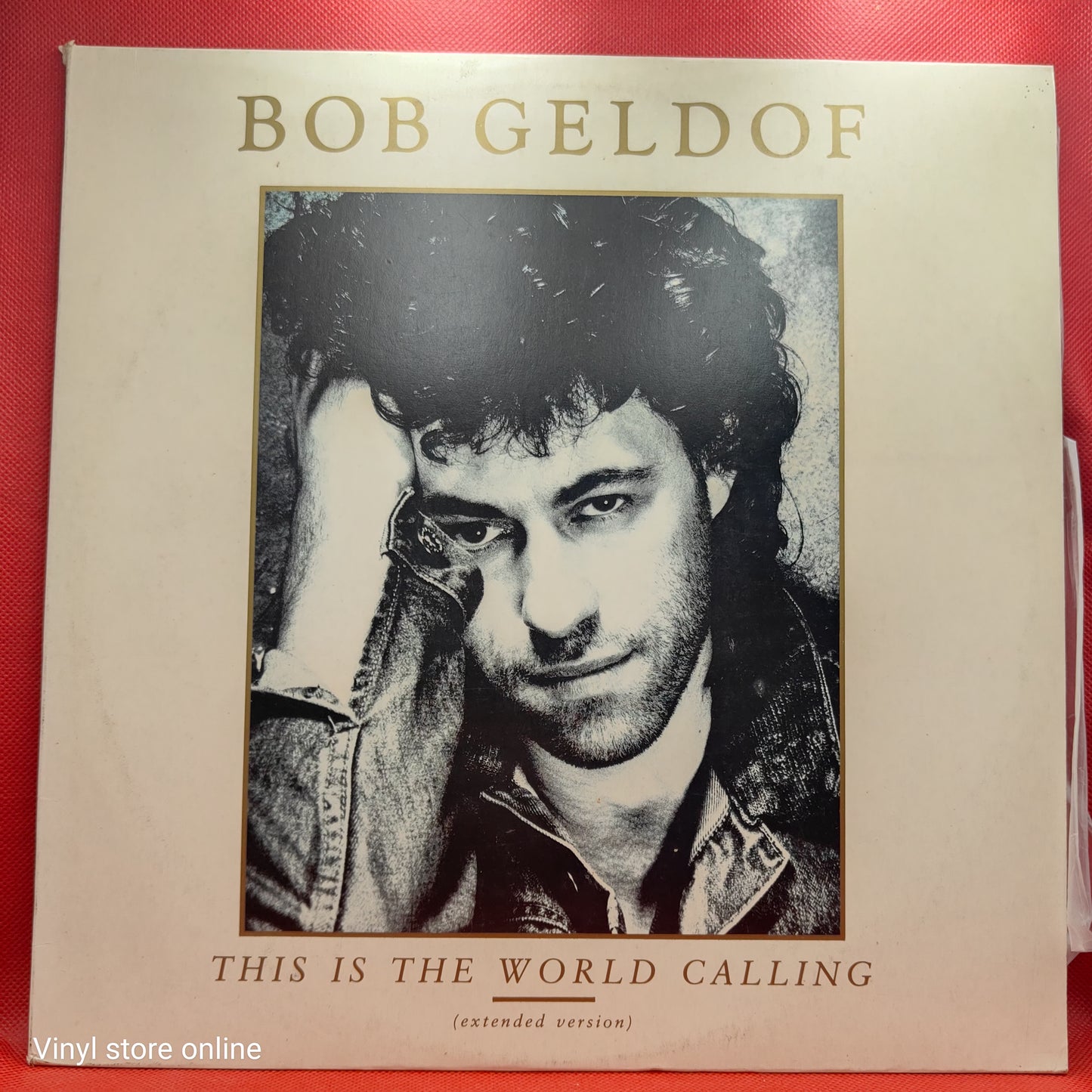 Bob Geldof – This Is The World Calling