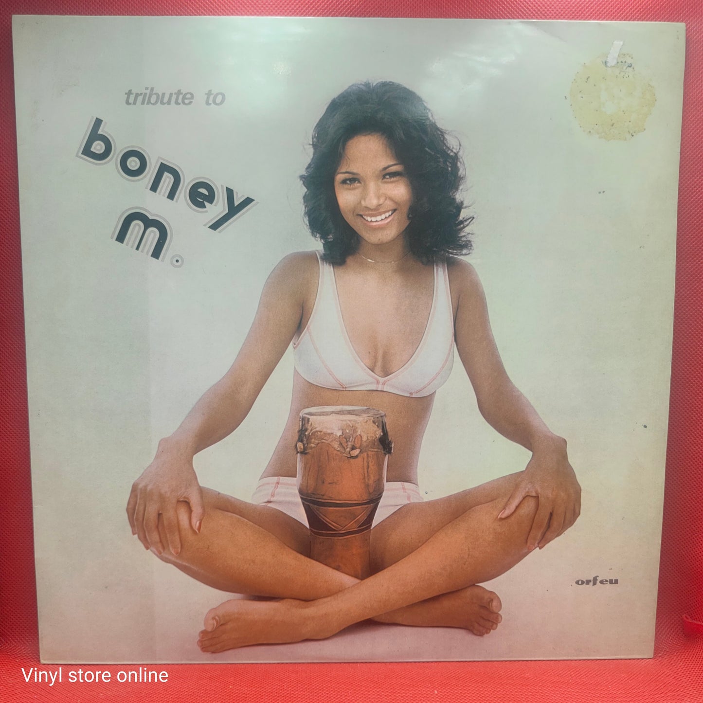 Unknown Artist – Tribute To Boney M.