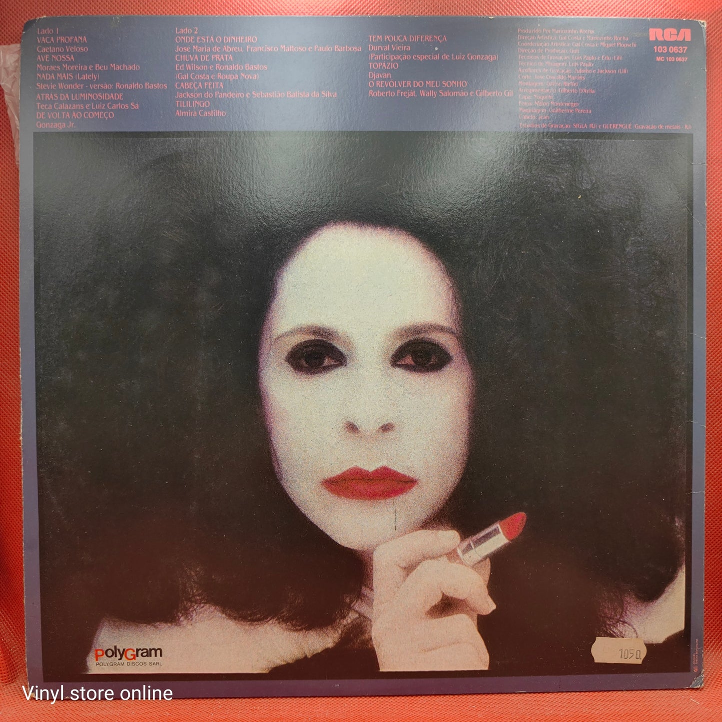 Gal Costa – Profana