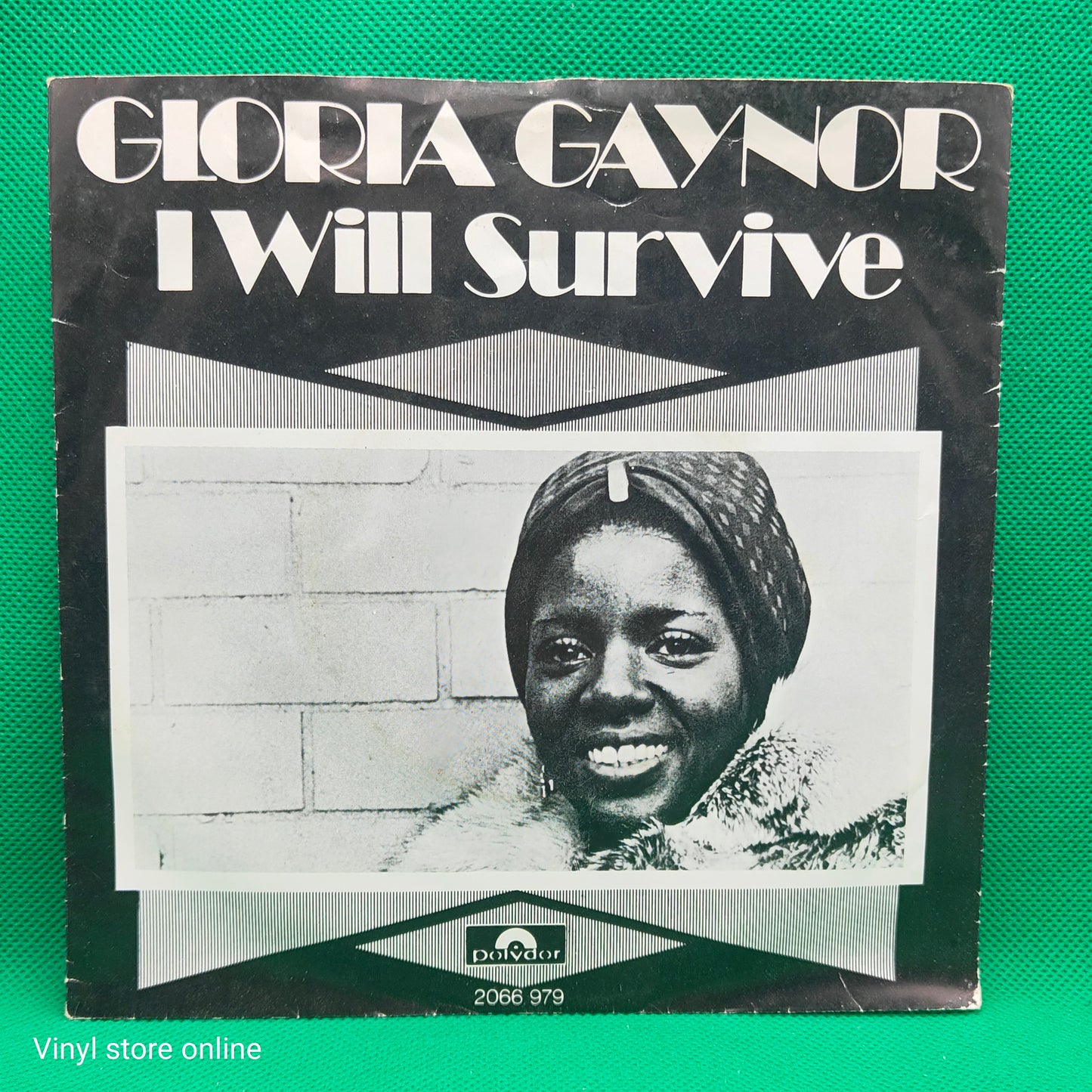 Gloria Gaynor ‎– I Will Survive