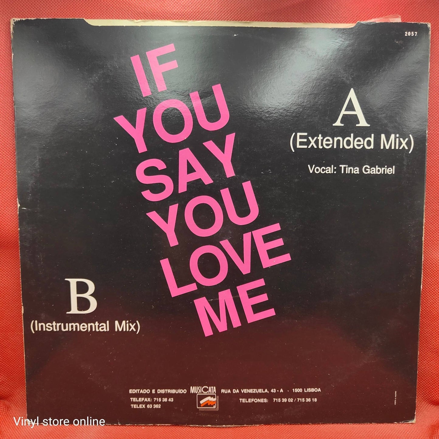 Tina Gabriel ‎– If You Say You Love Me