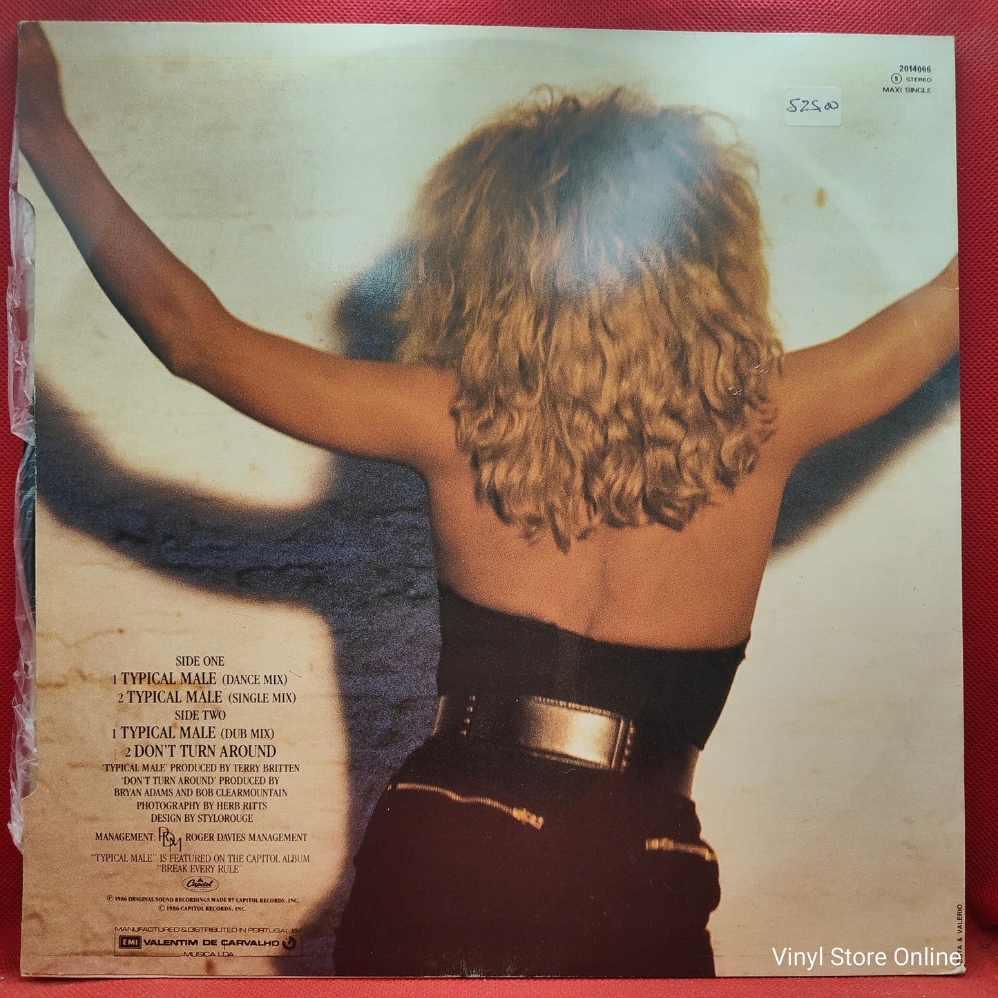 Tina Turner ‎– Typical Male