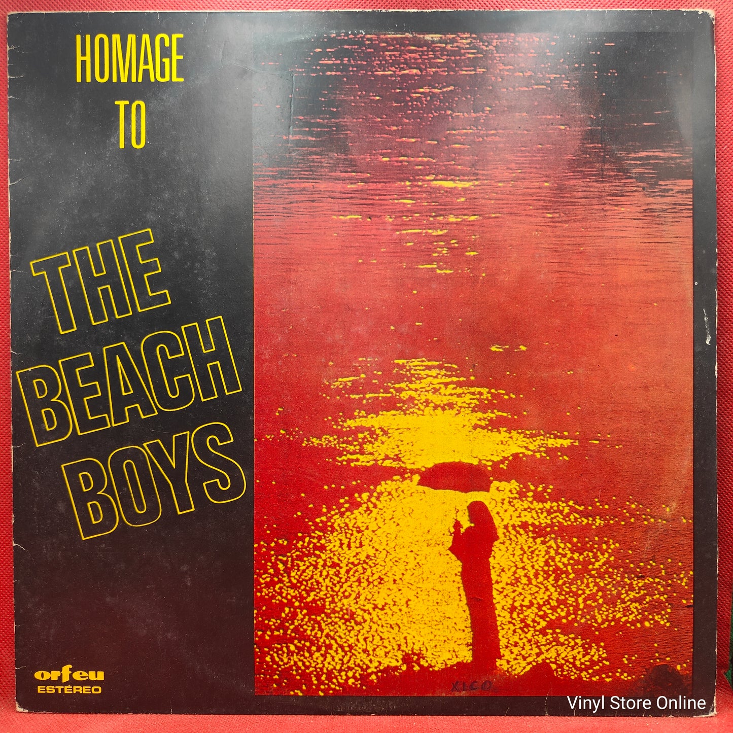 Unknown Artist ‎– Homage To The Beach Boys